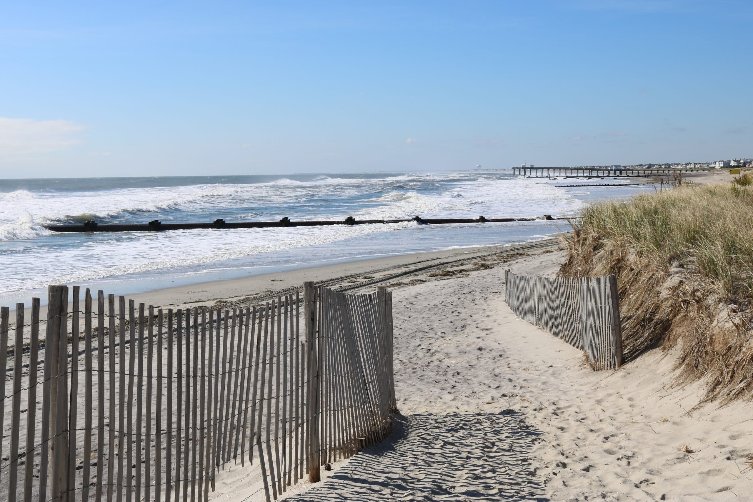 Beach Walks